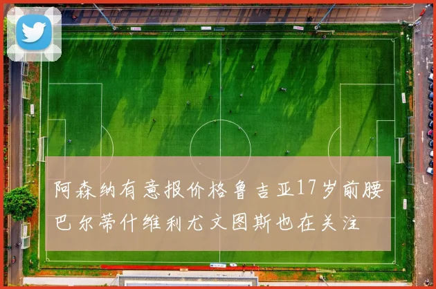阿森纳有意报价格鲁吉亚17岁前腰巴尔蒂什维利尤文图斯也在关注